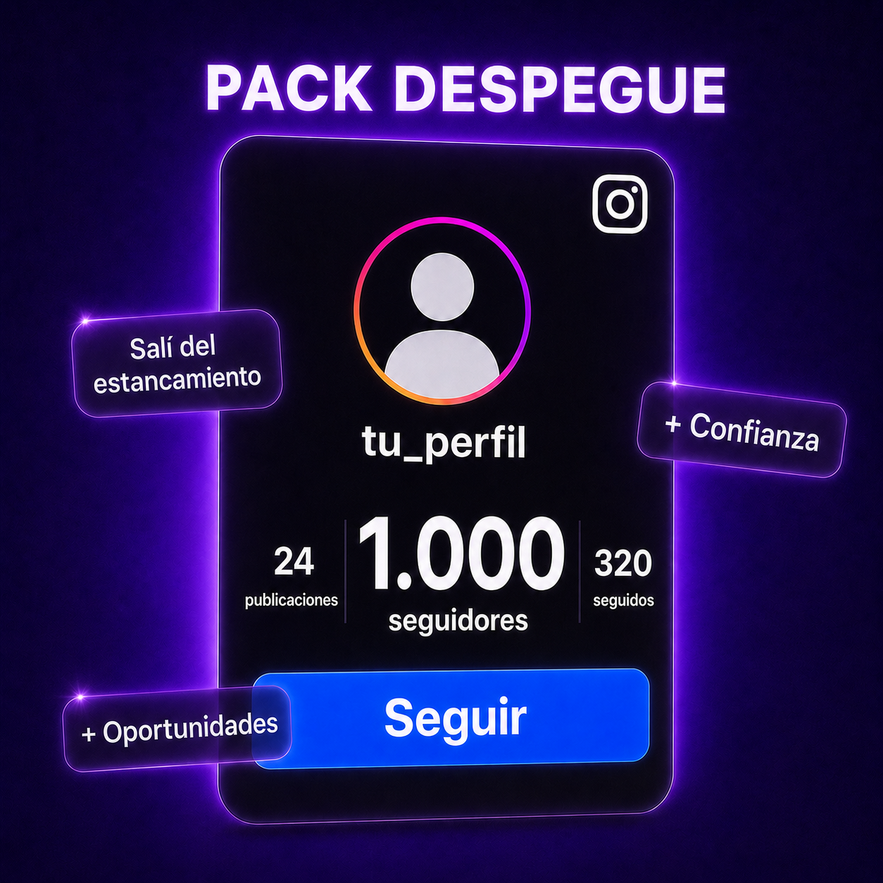 Seguidores Instagram